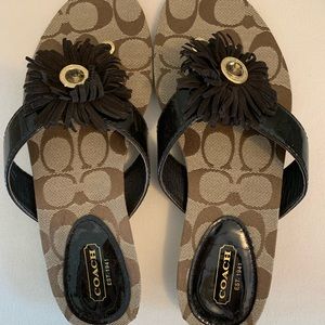 NEW, NBW, Coach suki flower brown thong sandal.